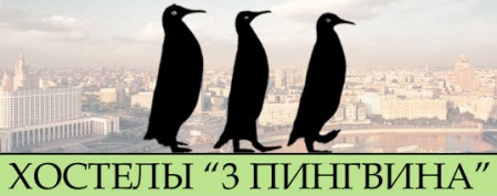 Гостиница 3 ПИНГВИНА отзывы