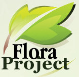 Компания «Flora-Project»  отзывы