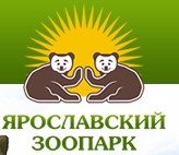 Ярославский зоопарк отзывы